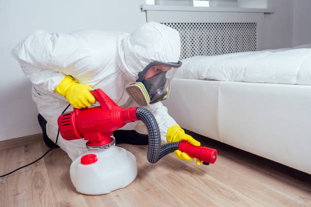 Best Pest Removal Services  in Rock Hill, MO