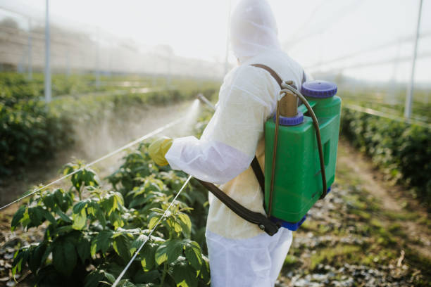  Rock Hill, MO Pest Control Pros